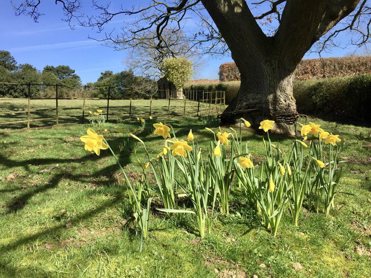 The Wrea Head Hall Country House Hotel & Restaurant Scarborough Buitenkant foto