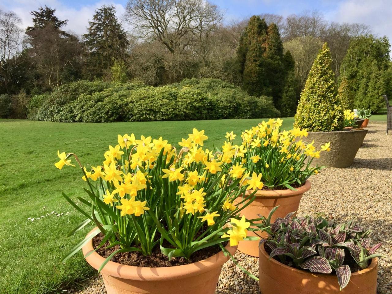 The Wrea Head Hall Country House Hotel & Restaurant Scarborough Buitenkant foto